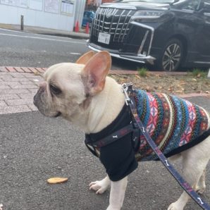 みんなのんびりと過ごしています♫イメージ