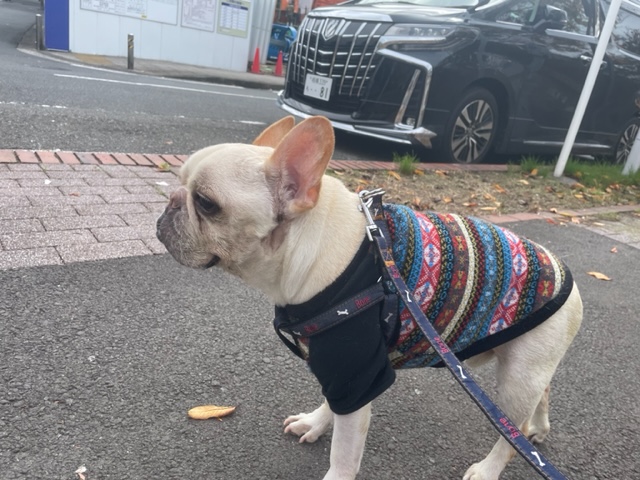 みんなのんびりと過ごしています♫イメージ