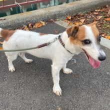 ホテルもにぎやかです(*^▽^*)イメージ