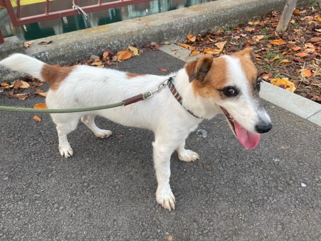 ホテルもにぎやかです(*^▽^*)イメージ