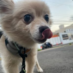 みんな元気いっぱいです。イメージ