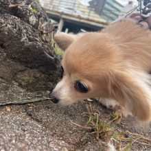 冷たい風が吹いていました(>_<)イメージ