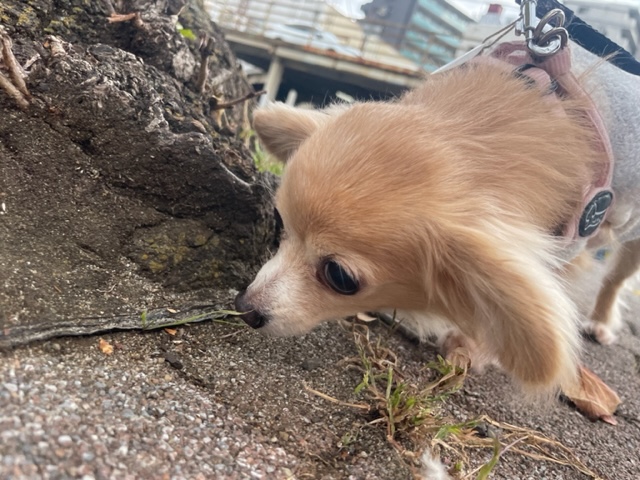 冷たい風が吹いていました(>_<)イメージ