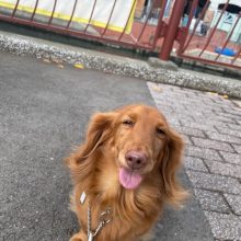 みんな元気いっぱいです(*´▽｀*)イメージ