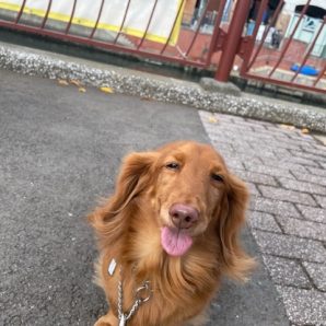 みんな元気いっぱいです(*´▽｀*)イメージ