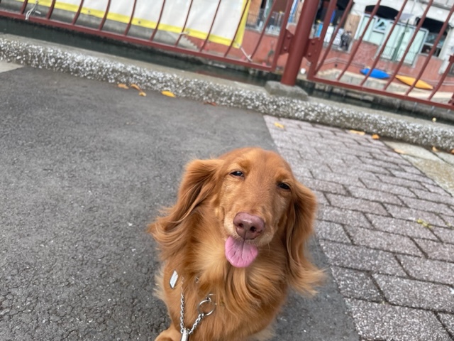 みんな元気いっぱいです(*´▽｀*)イメージ