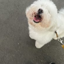 暖かい一日でした！イメージ