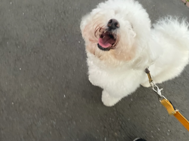 暖かい一日でした！イメージ