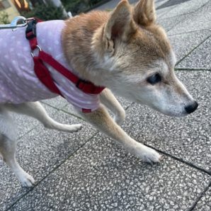 少し肌寒い1日でした♬イメージ