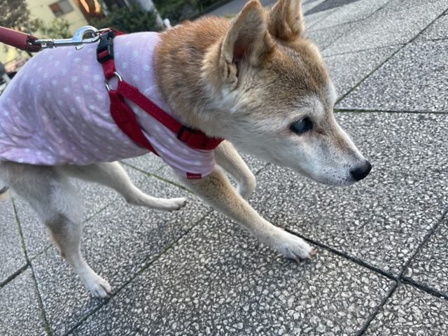 少し肌寒い1日でした♬イメージ