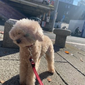 暖かい1日でした(*^^*)イメージ