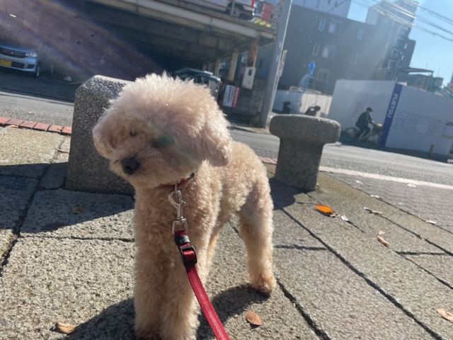 暖かい1日でした(*^^*)イメージ