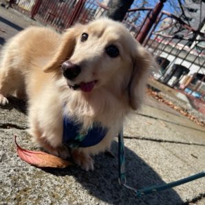 いいお天気です☀イメージ