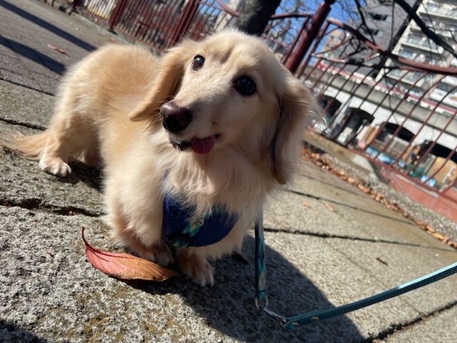 いいお天気です☀イメージ