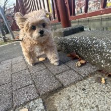 みんな元気いっぱいです(≧▽≦)イメージ