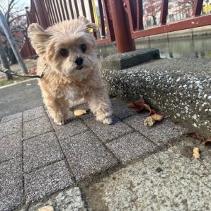 みんな元気いっぱいです(≧▽≦)イメージ