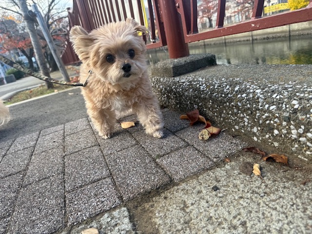 みんな元気いっぱいです(≧▽≦)イメージ