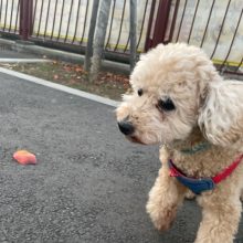 11月ラストです(^O^)／イメージ