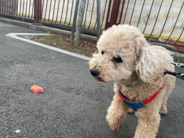 11月ラストです(^O^)／イメージ