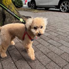 三連休ですがホテルは静かです・・・(´;ω;｀)イメージ