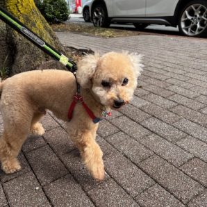 三連休ですがホテルは静かです・・・(´;ω;｀)イメージ