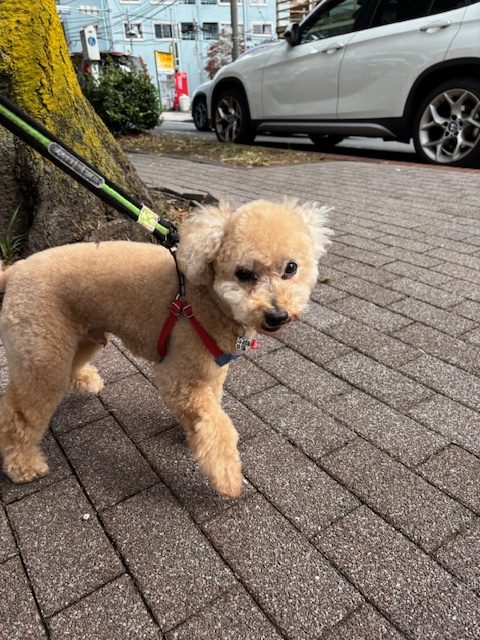 三連休ですがホテルは静かです・・・(´;ω;｀)イメージ