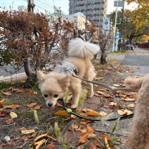 今日は暖かく過ごしやすかったですね♪イメージ