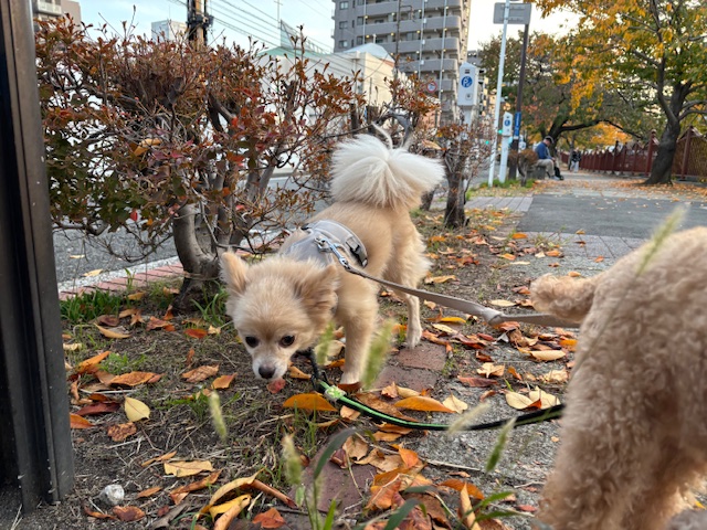 今日は暖かく過ごしやすかったですね♪イメージ