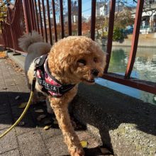 過ごしやすい気温でした(≧▽≦)イメージ