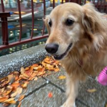 11月もそろそろ折り返しです(@￣□￣@;)！！イメージ