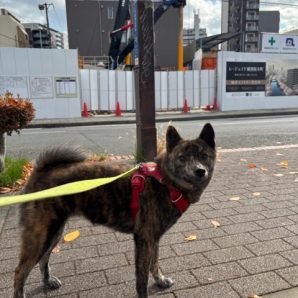 いいお天気でした(*^▽^*)イメージ