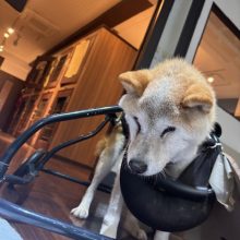 寒くなってきたので皆さんお気を付けください！イメージ