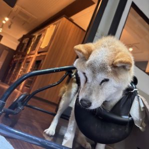 寒くなってきたので皆さんお気を付けください！イメージ