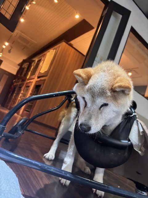 寒くなってきたので皆さんお気を付けください！イメージ