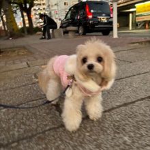 11月もあと1週間！本当にあっという間ですね～～イメージ