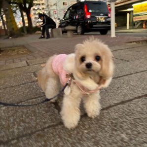 11月もあと1週間！本当にあっという間ですね～～イメージ