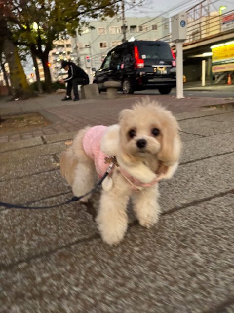 11月もあと1週間！本当にあっという間ですね～～イメージ