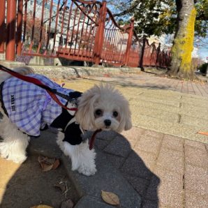 3連休最終日！イメージ