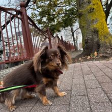 みんな元気いっぱいでした！イメージ