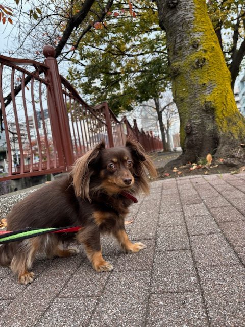 みんな元気いっぱいでした！イメージ