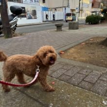 もうすぐ12月ですね～～イメージ