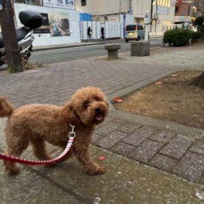 もうすぐ12月ですね～～イメージ