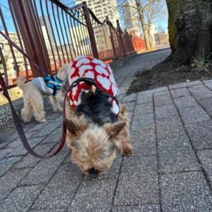 12月終了まであと2週間！イメージ