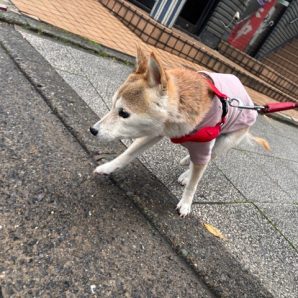 今日は暖かい日でした～！イメージ