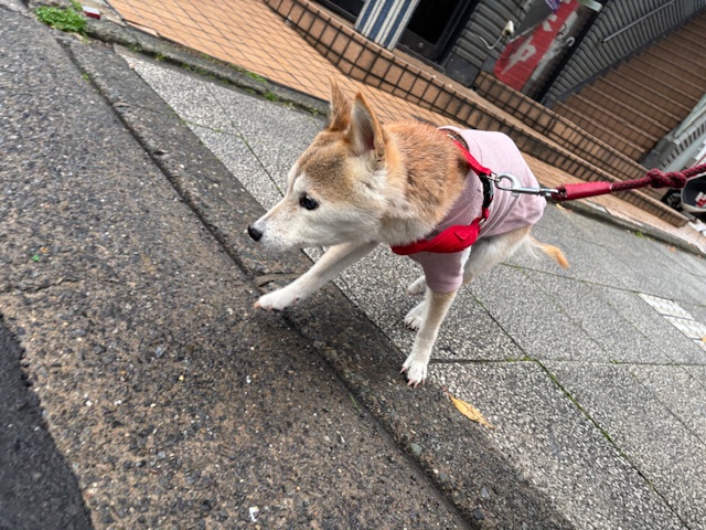 今日は暖かい日でした～！イメージ