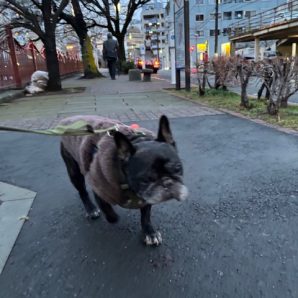 1日雨模様でした～😢イメージ