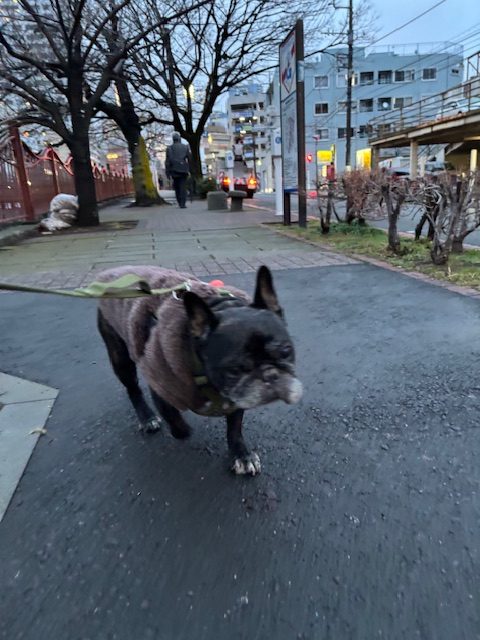 1日雨模様でした～😢イメージ