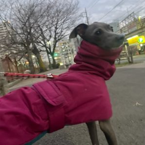 店内フリーのお友達がいっぱいです(*^^*)イメージ