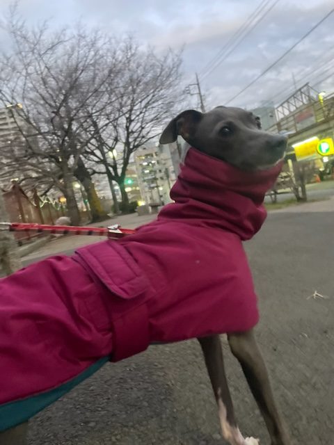 店内フリーのお友達がいっぱいです(*^^*)イメージ