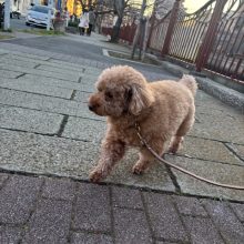 仕事納めの方が多いのでは～？👀イメージ